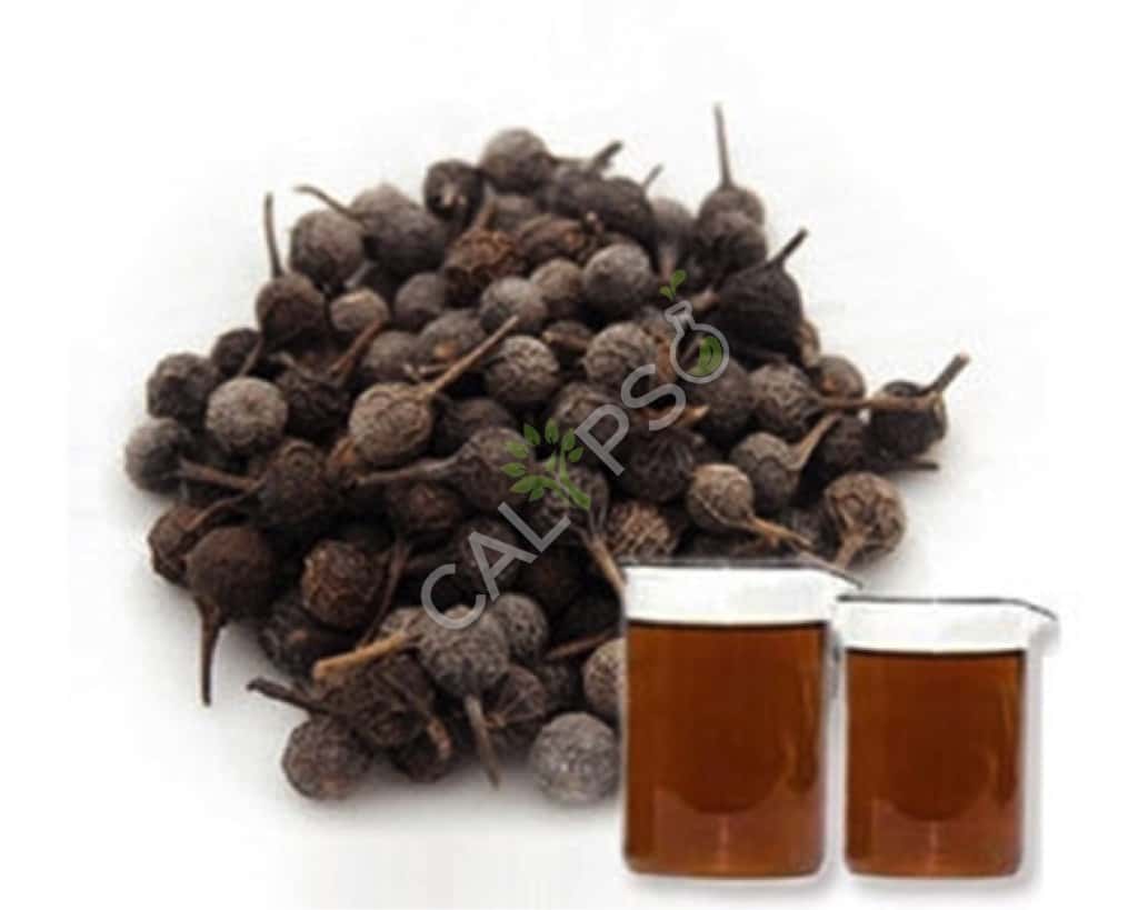Cubeb Natural Essential Oil